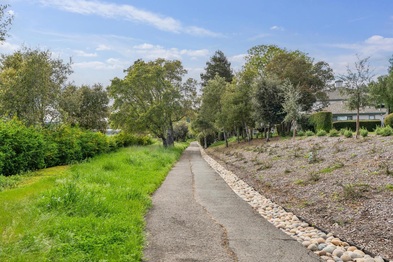 95 Dockside Circle San Rafael, CA 94903 - Photo 7 of 7 a view of a yard with plants and trees