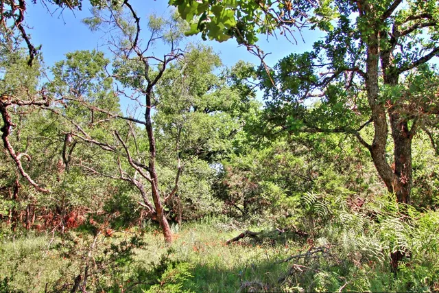 a backyard of a house with lots of green space