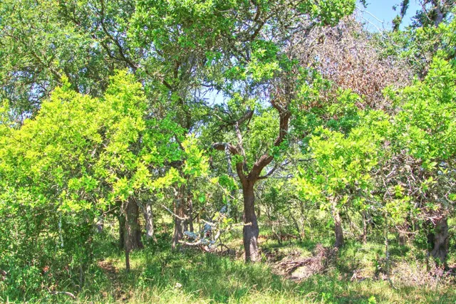 $1,154,650 | Lot 6 Lot, Willow City, TX 78675
