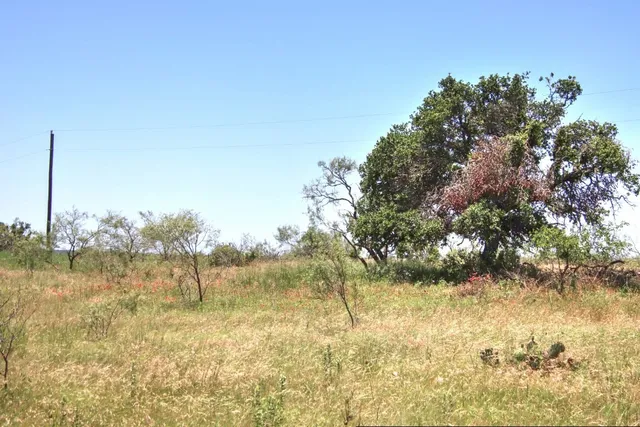 $1,154,650 | Lot 6 Lot, Willow City, TX 78675