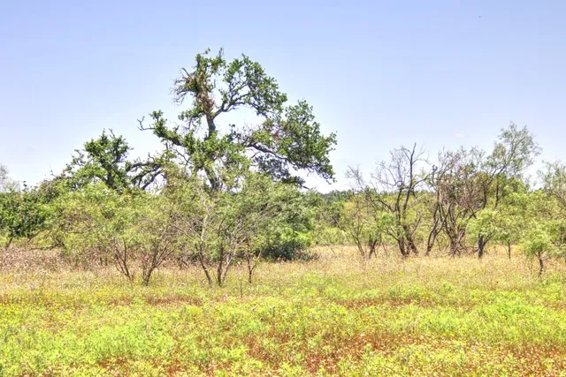 $1,154,650 | Lot 6 Lot, Willow City, TX 78675