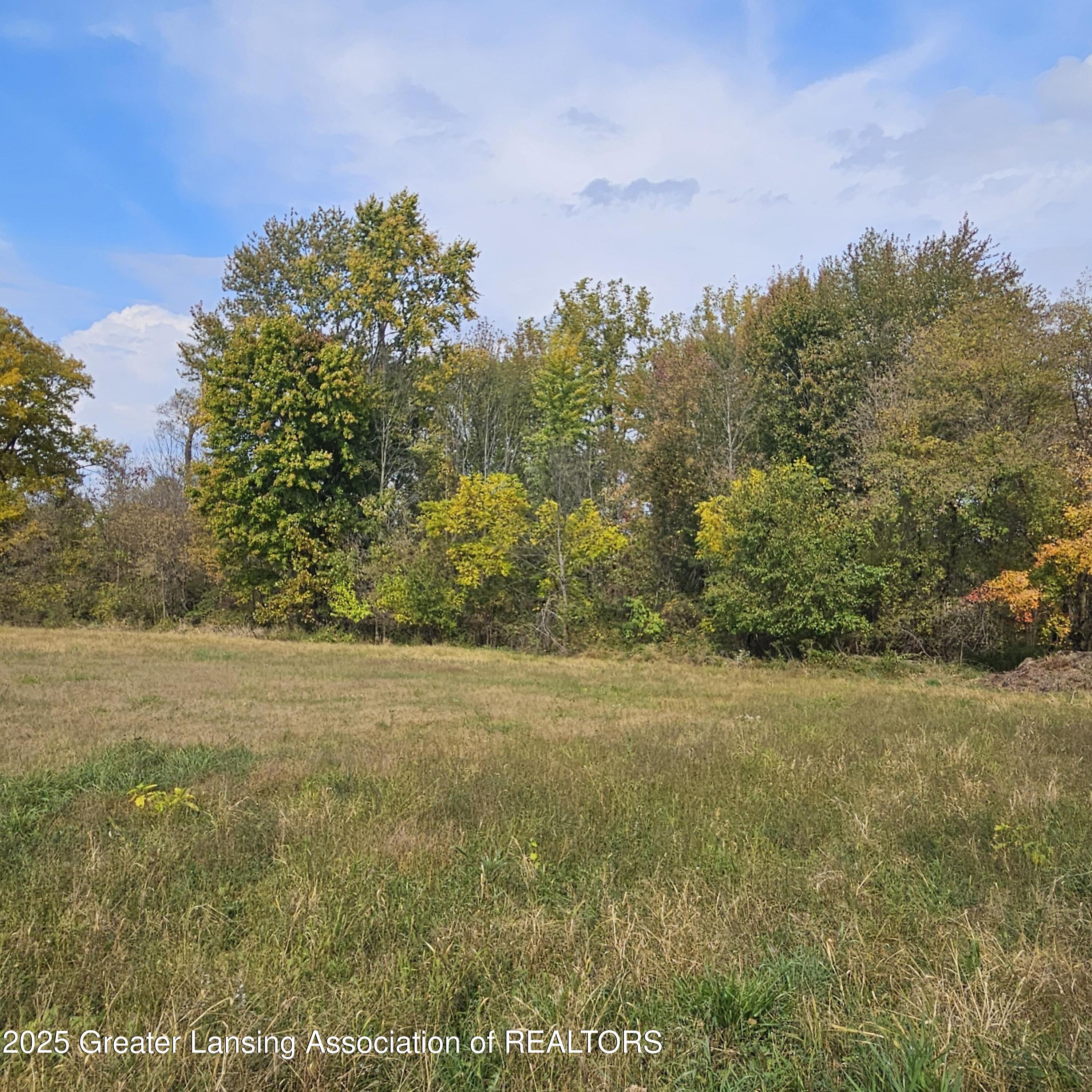 0 Elm Road Olivet, MI 49076 - Photo 17 of 26 20251018_121727