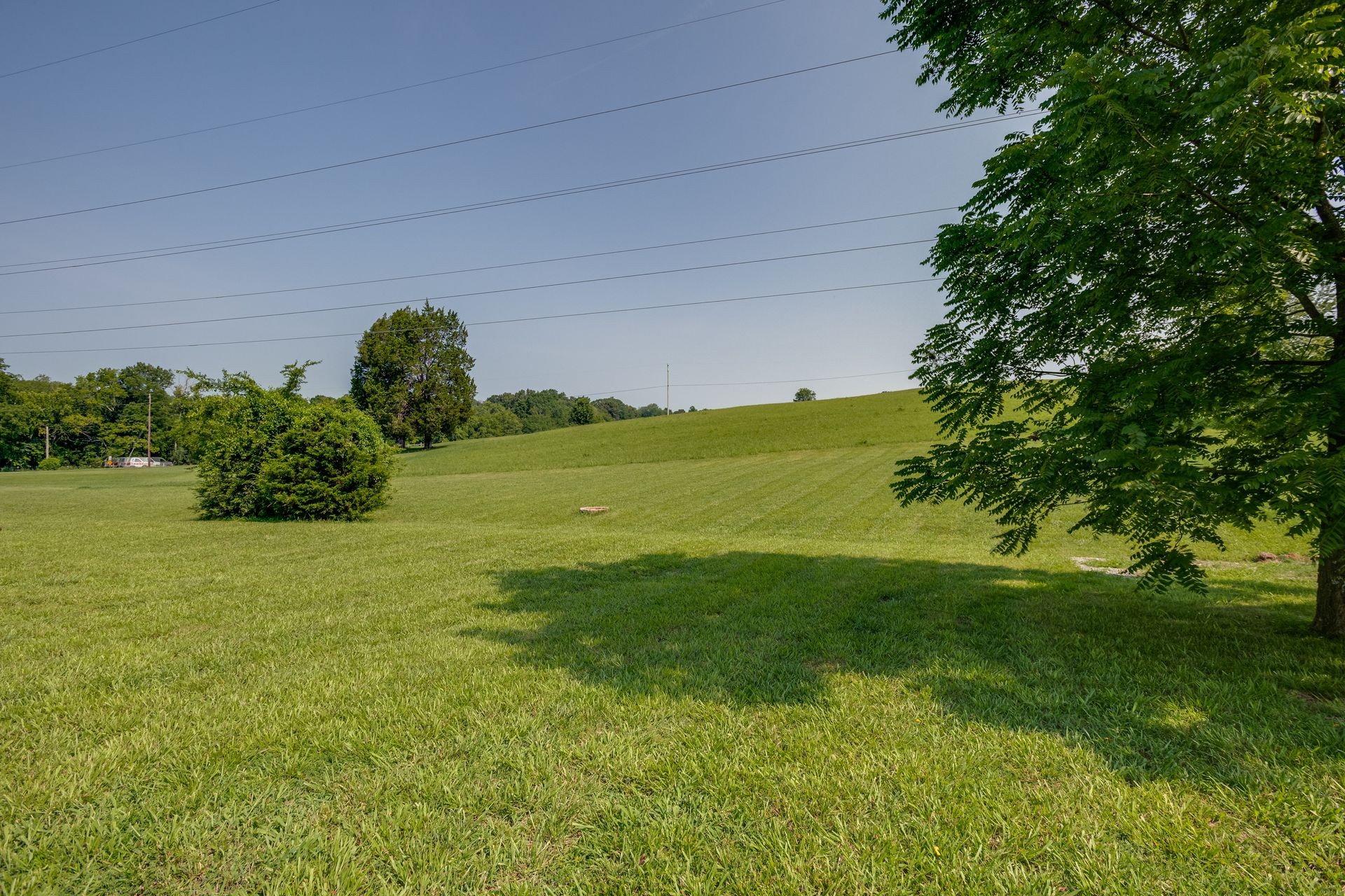 2407 Burford Road Lebanon, TN 37087 - Photo 37 of 37 a view of a field of grass and trees