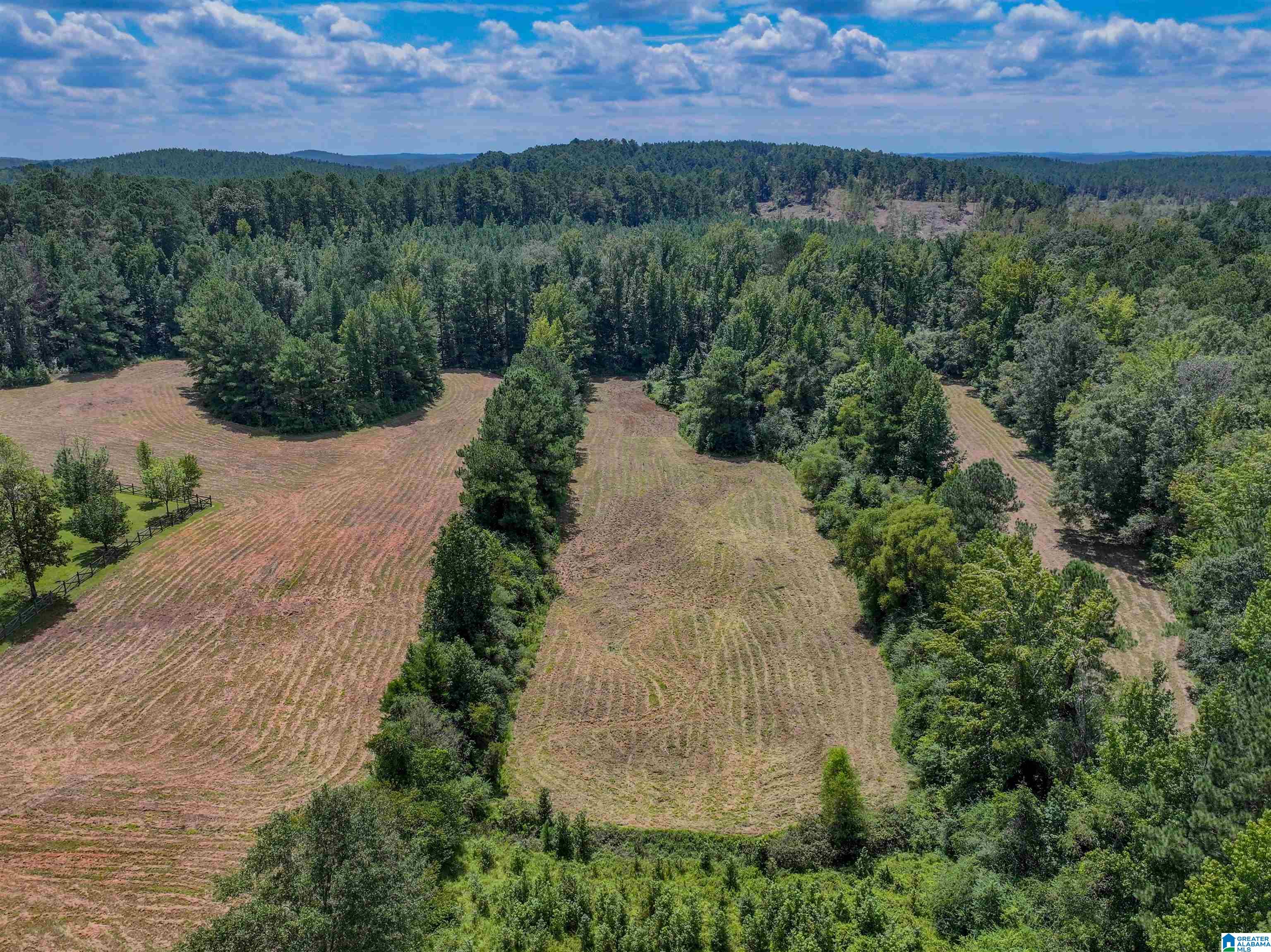 11643 Carter Road Vance, AL 35490 - Photo 2 of 10