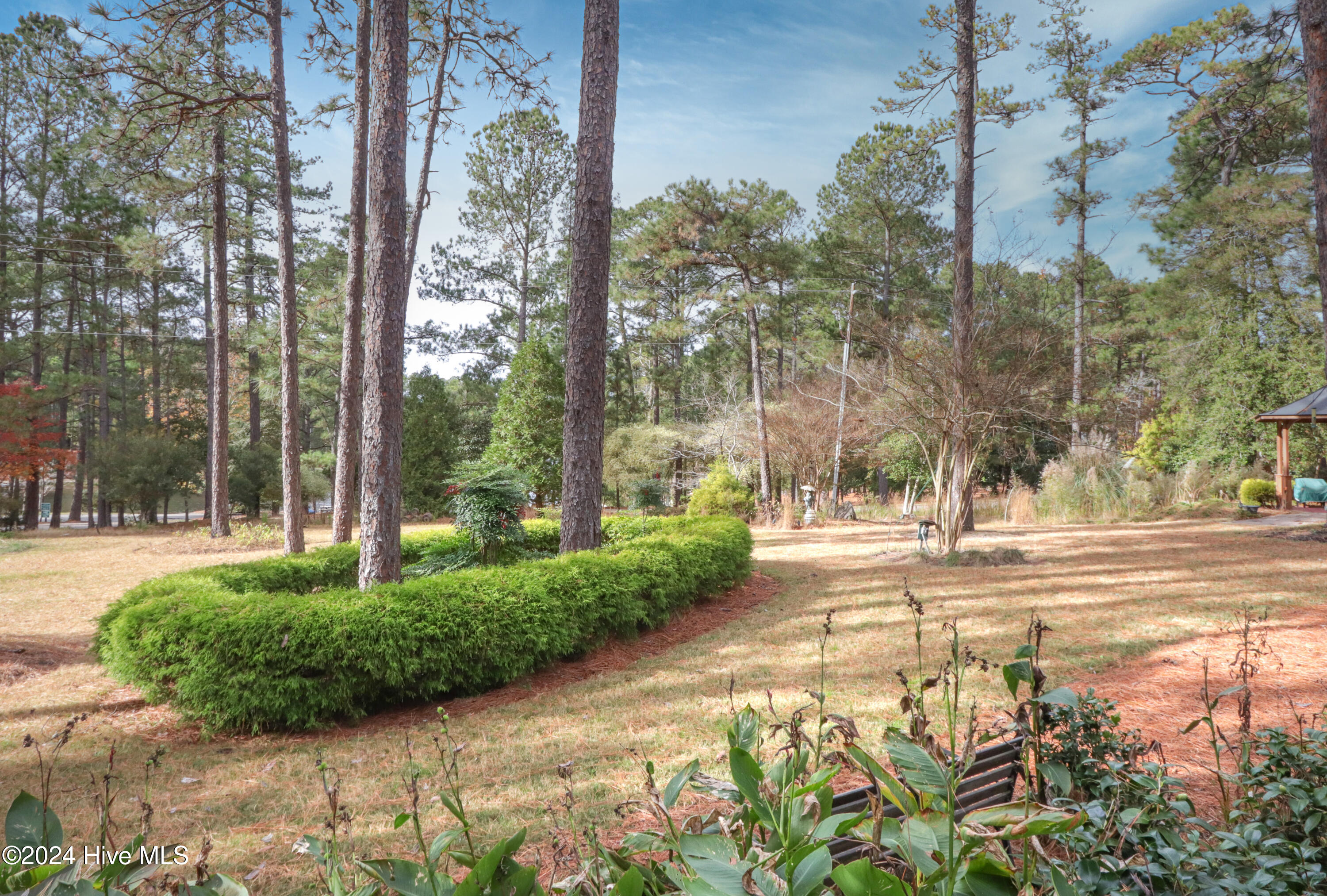 535 Donald Ross Drive Pinehurst, NC 28374 - Photo 36 of 48 IMG_2870_Luminar4-edit