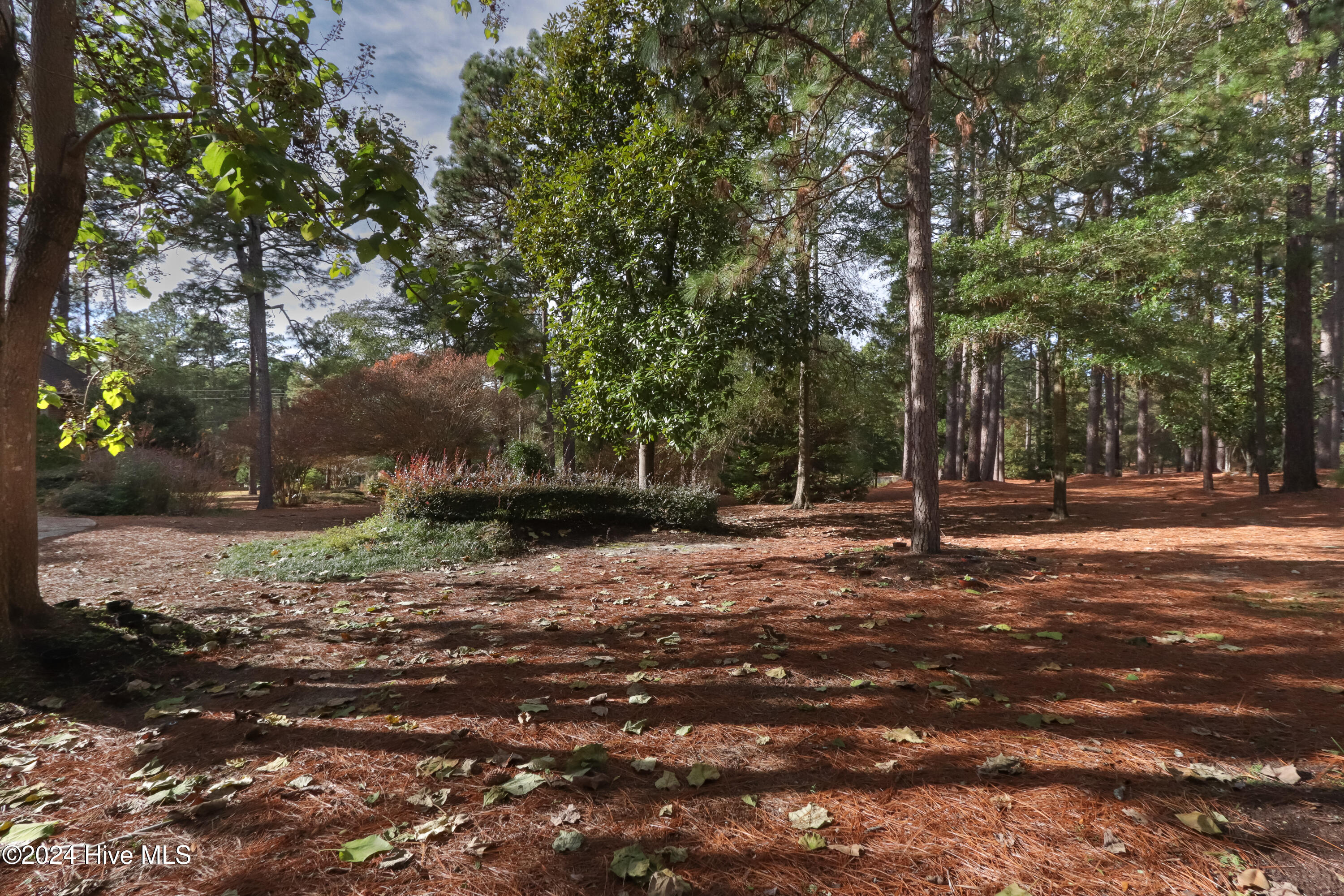 535 Donald Ross Drive Pinehurst, NC 28374 - Photo 39 of 48 IMG_2952