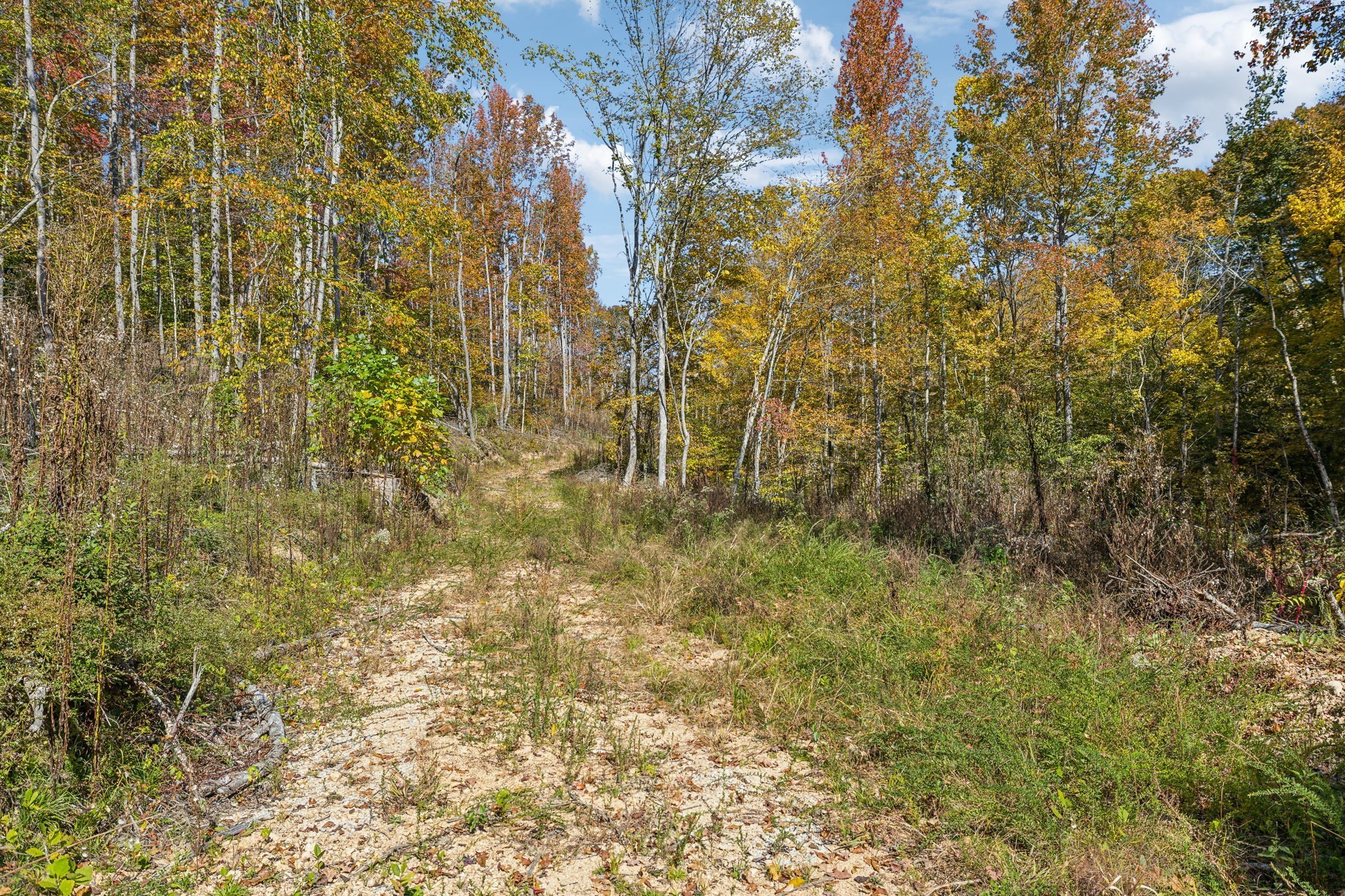 635 Cane Creek Road Hohenwald, TN 38462 - Photo 48 of 71