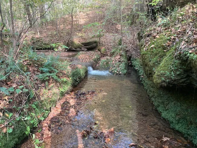 $799,900 | 635 Cane Creek Road, Hohenwald, TN 38462