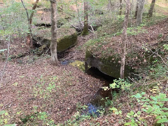 $799,900 | 635 Cane Creek Road, Hohenwald, TN 38462