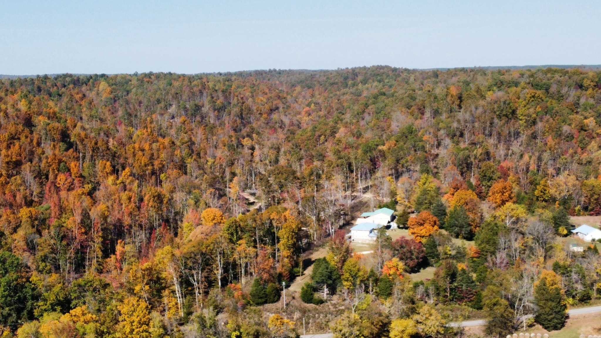 635 Cane Creek Road Hohenwald, TN 38462 - Photo 53 of 71