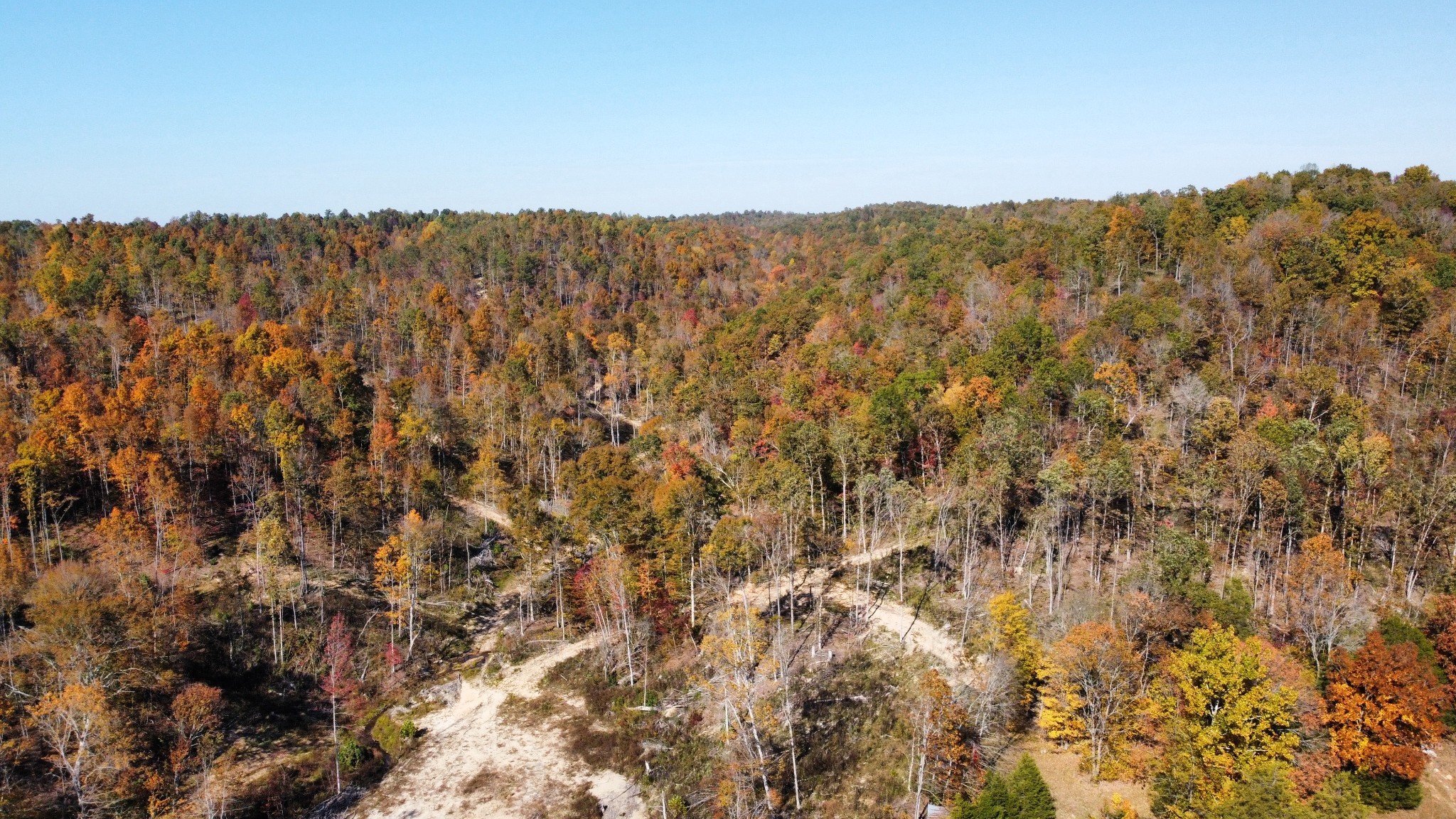 635 Cane Creek Road Hohenwald, TN 38462 - Photo 55 of 71