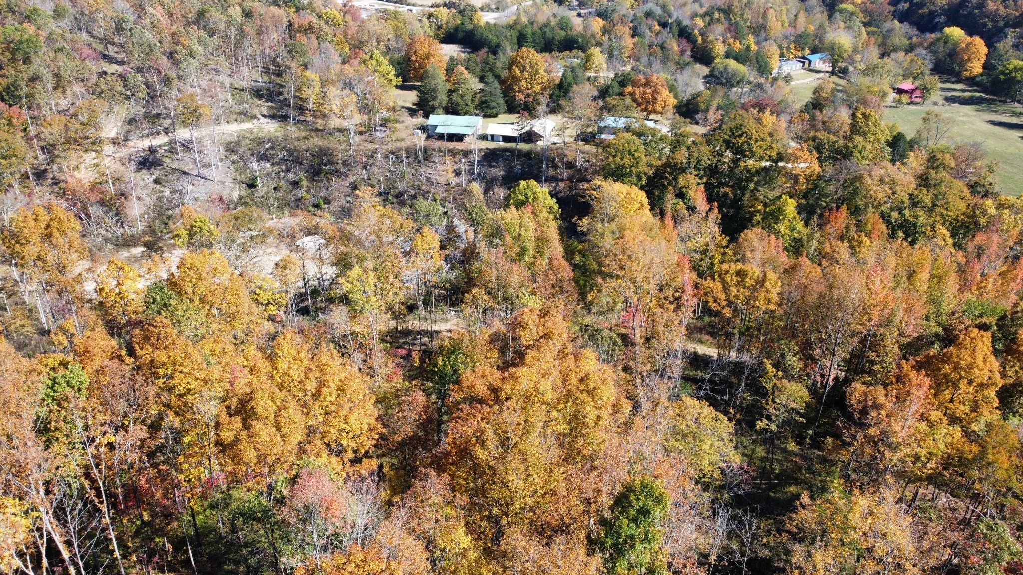 635 Cane Creek Road Hohenwald, TN 38462 - Photo 56 of 71