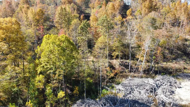 $799,900 | 635 Cane Creek Road, Hohenwald, TN 38462