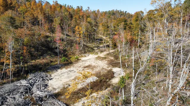 $799,900 | 635 Cane Creek Road, Hohenwald, TN 38462