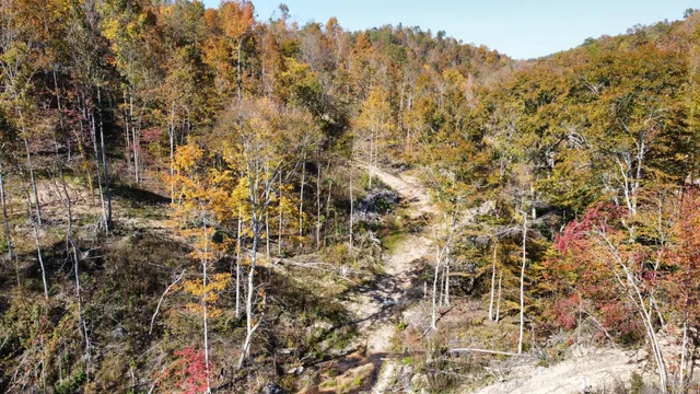 $799,900 | 635 Cane Creek Road, Hohenwald, TN 38462