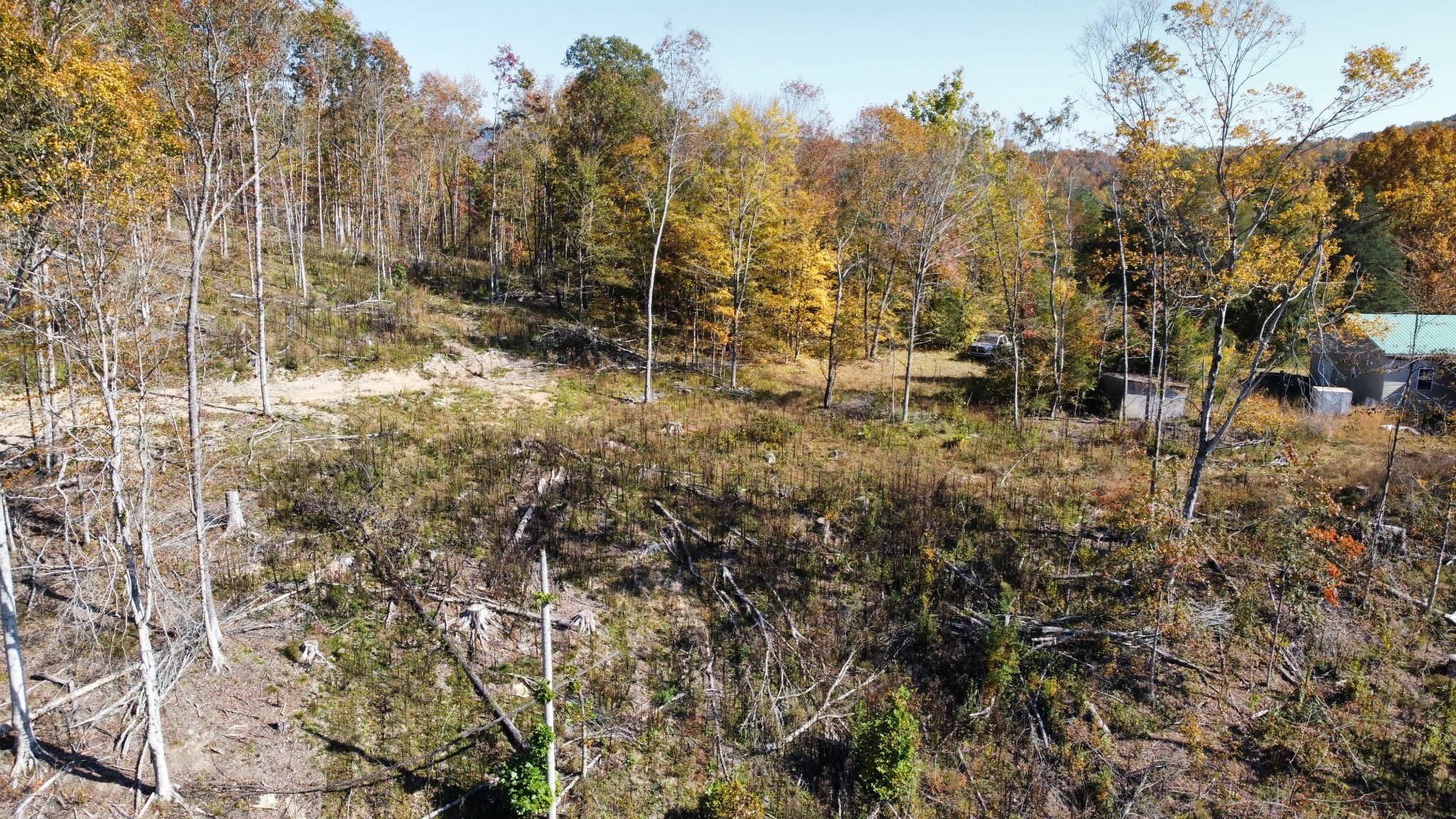 635 Cane Creek Road Hohenwald, TN 38462 - Photo 62 of 71 a view of a forest with trees