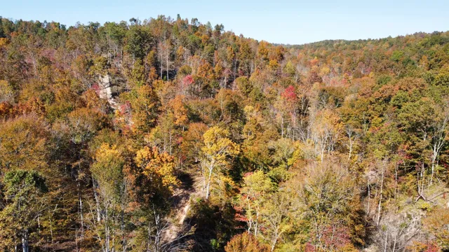 $799,900 | 635 Cane Creek Road, Hohenwald, TN 38462