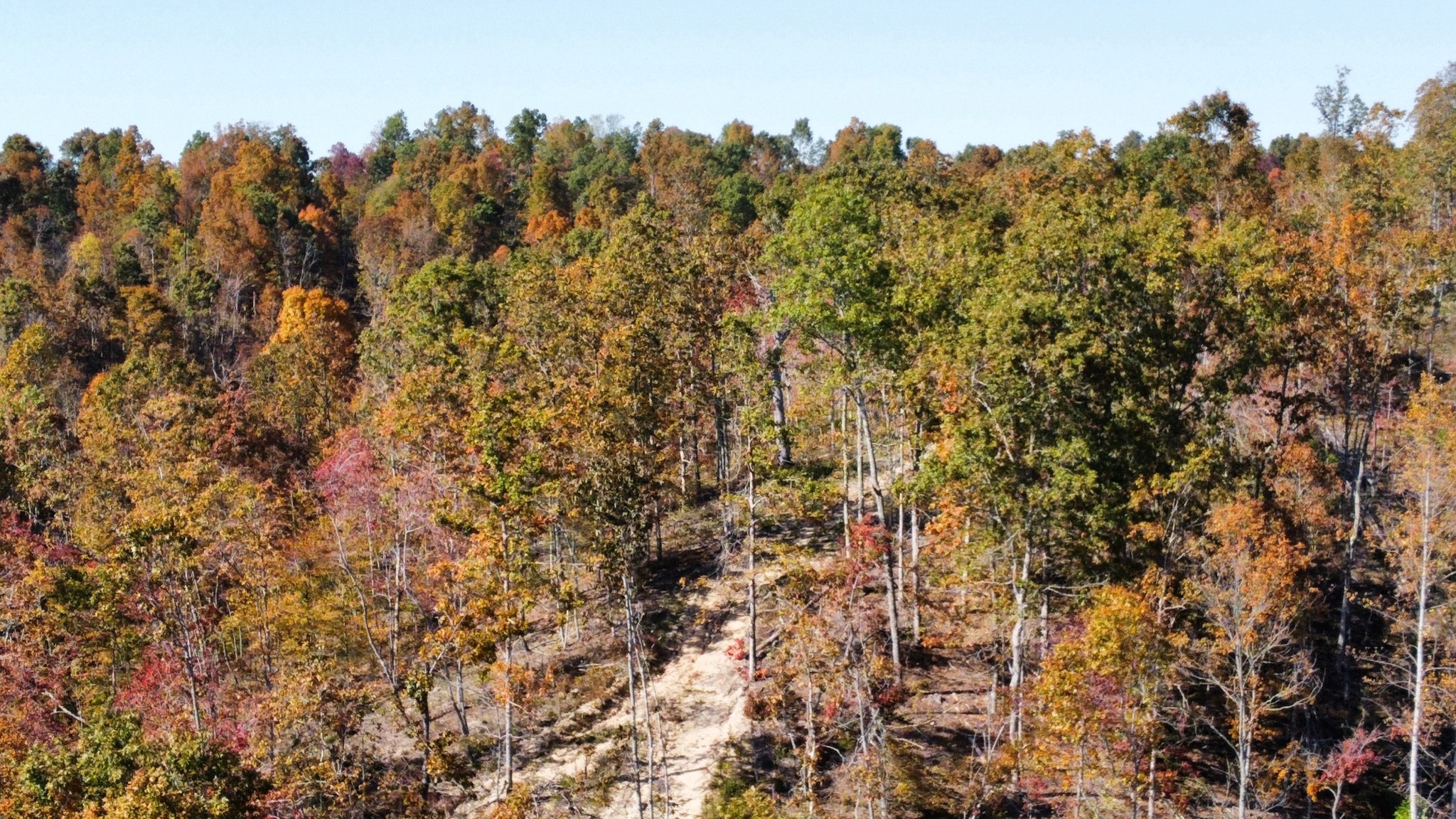 635 Cane Creek Road Hohenwald, TN 38462 - Photo 65 of 71