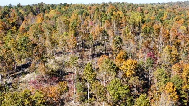 $799,900 | 635 Cane Creek Road, Hohenwald, TN 38462