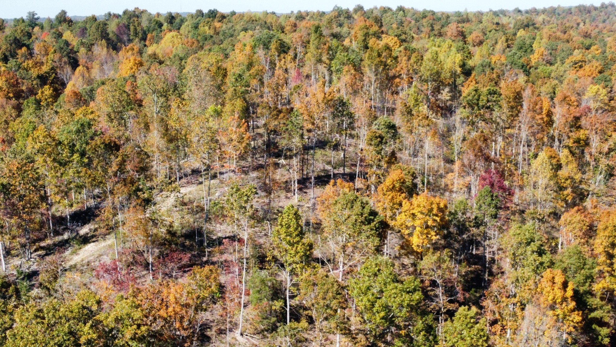 635 Cane Creek Road Hohenwald, TN 38462 - Photo 66 of 71