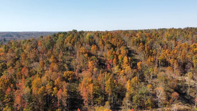 $799,900 | 635 Cane Creek Road, Hohenwald, TN 38462