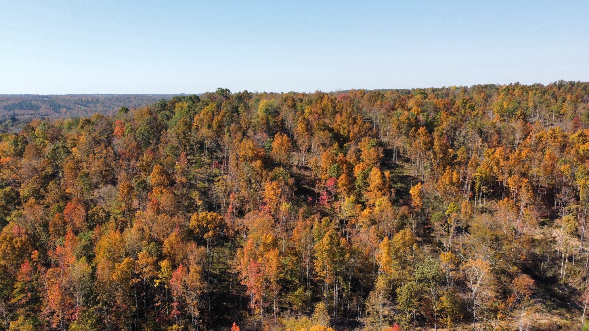 635 Cane Creek Road Hohenwald, TN 38462 - Photo 69 of 71