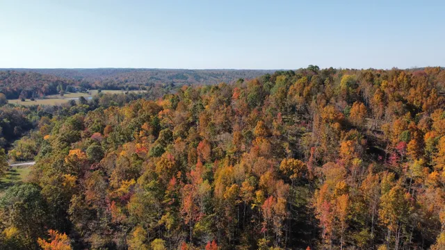 $799,900 | 635 Cane Creek Road, Hohenwald, TN 38462