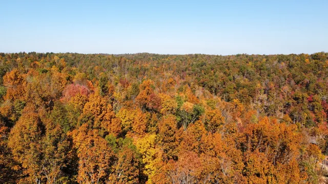 $799,900 | 635 Cane Creek Road, Hohenwald, TN 38462