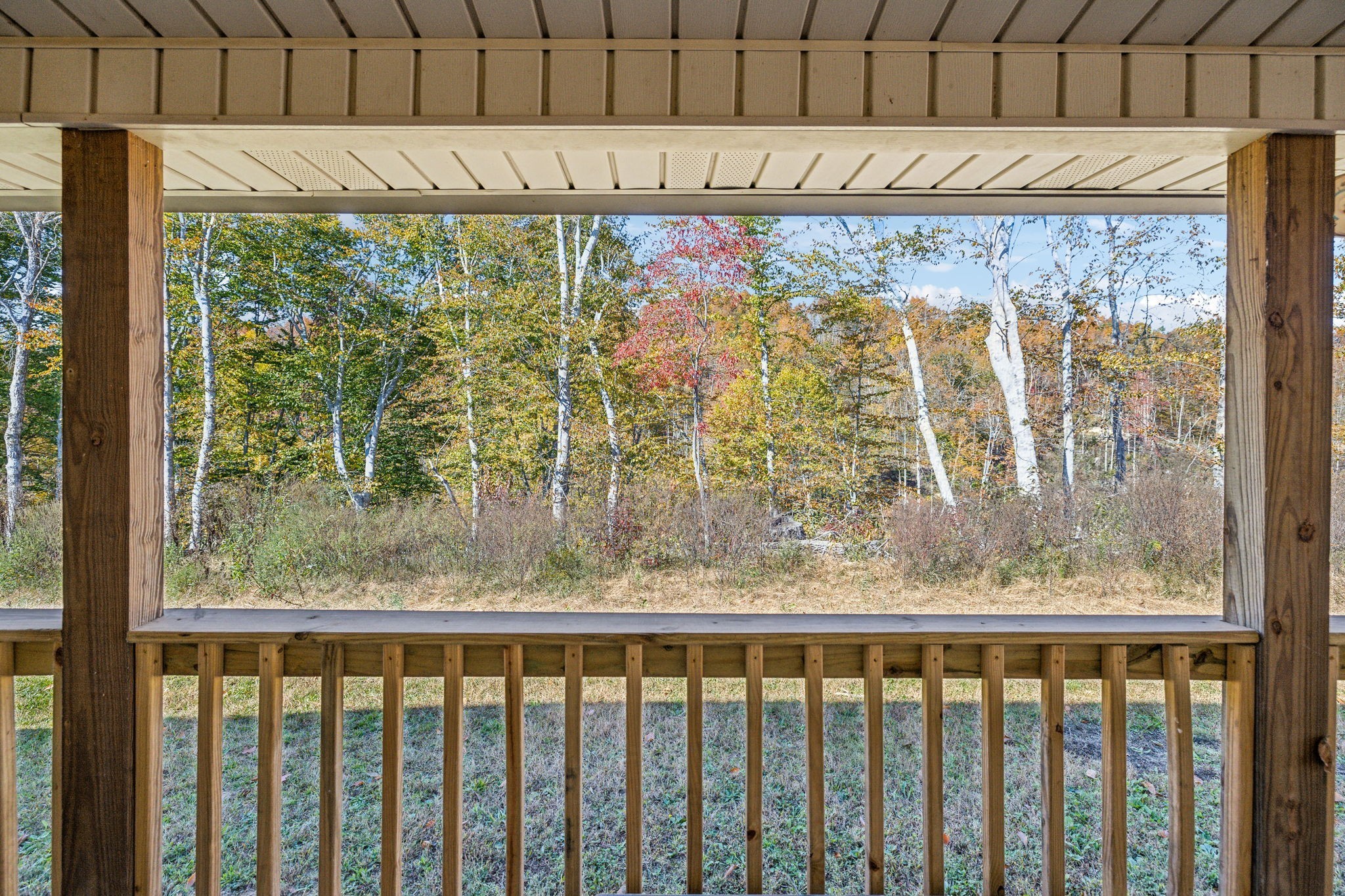 635 Cane Creek Road Hohenwald, TN 38462 - Photo 8 of 71