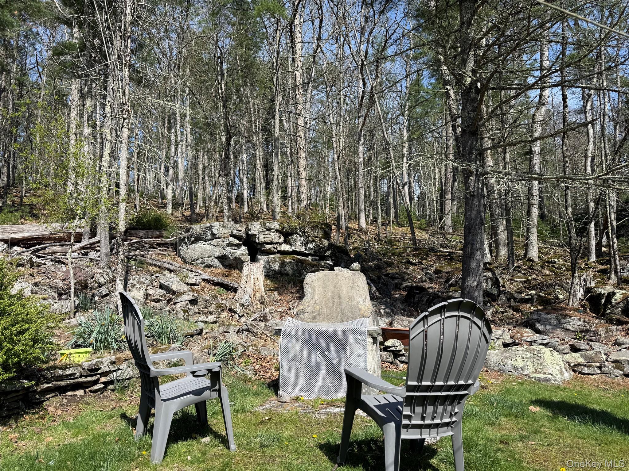 26 Woods Road Barryville, NY 12719 - Photo 26 of 34 a view of backyard with table and chairs and a large tree