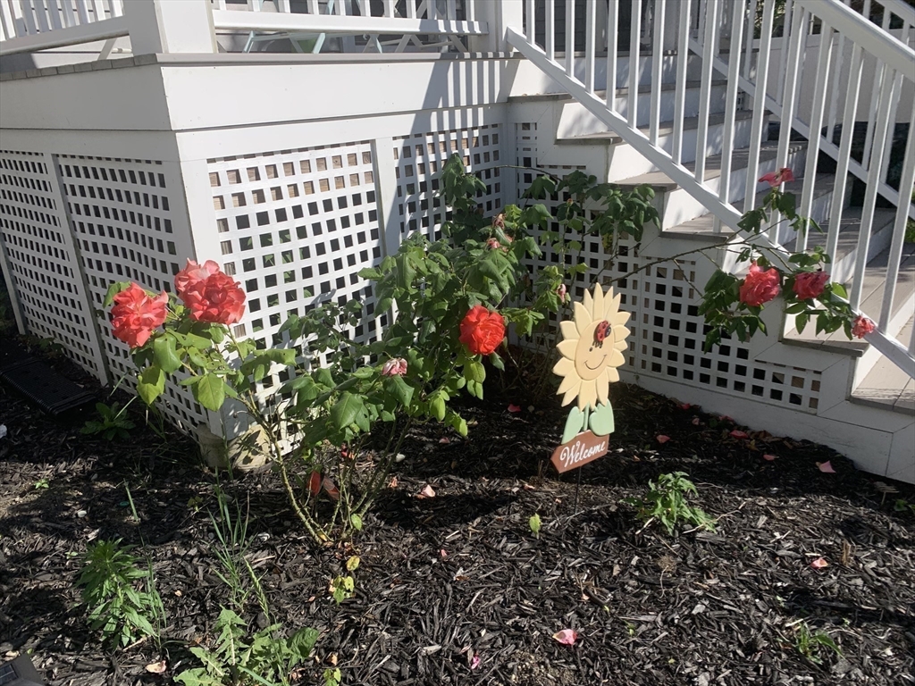 24 Vassar Street Boston, MA 02121 - Photo 16 of 21