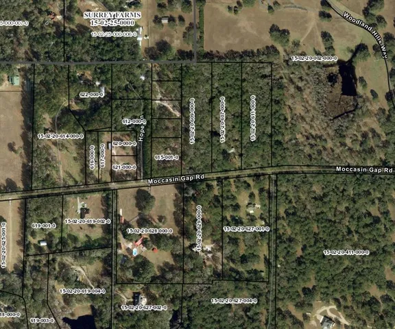 $260,000 | X Moccasin Gap Road, Tallahassee, FL 32309