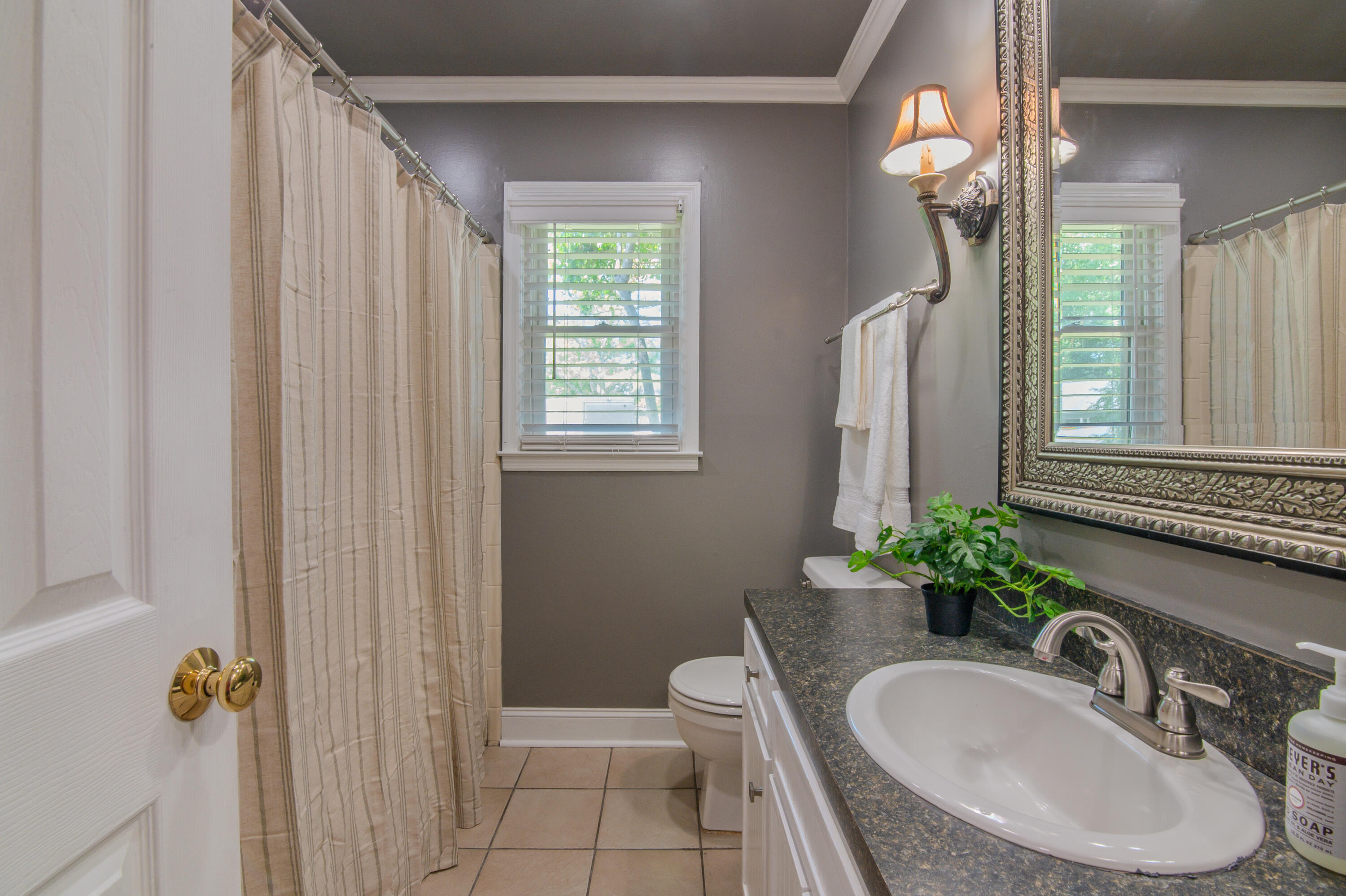 106 James Road Summerville, SC 29486 - Photo 10 of 14 Primary Ensuite