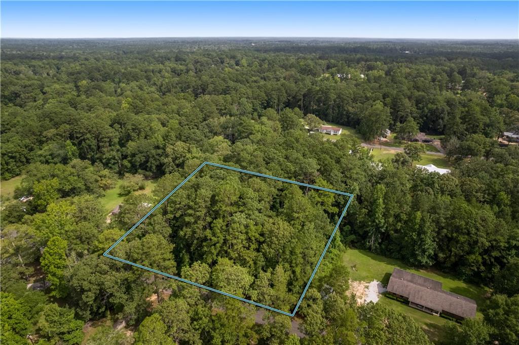 0 King Richard Road Dry Prong, LA 71423 - Photo 3 of 5 Gallery Image 3