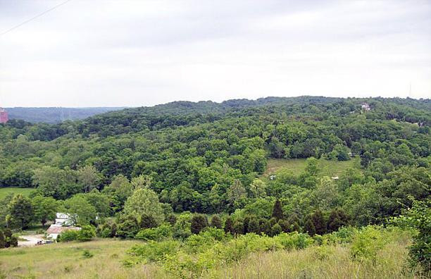 3818 Fender Road Melbourne, KY 41059 - Photo 15 of 15