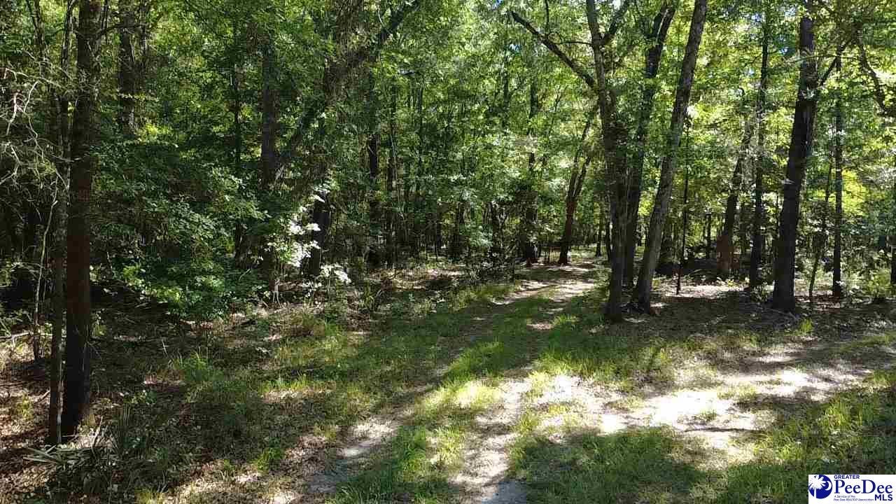 Tbd Tbd River Neck Road Florence, SC 29505 - Photo 38 of 47 Gallery Image 38