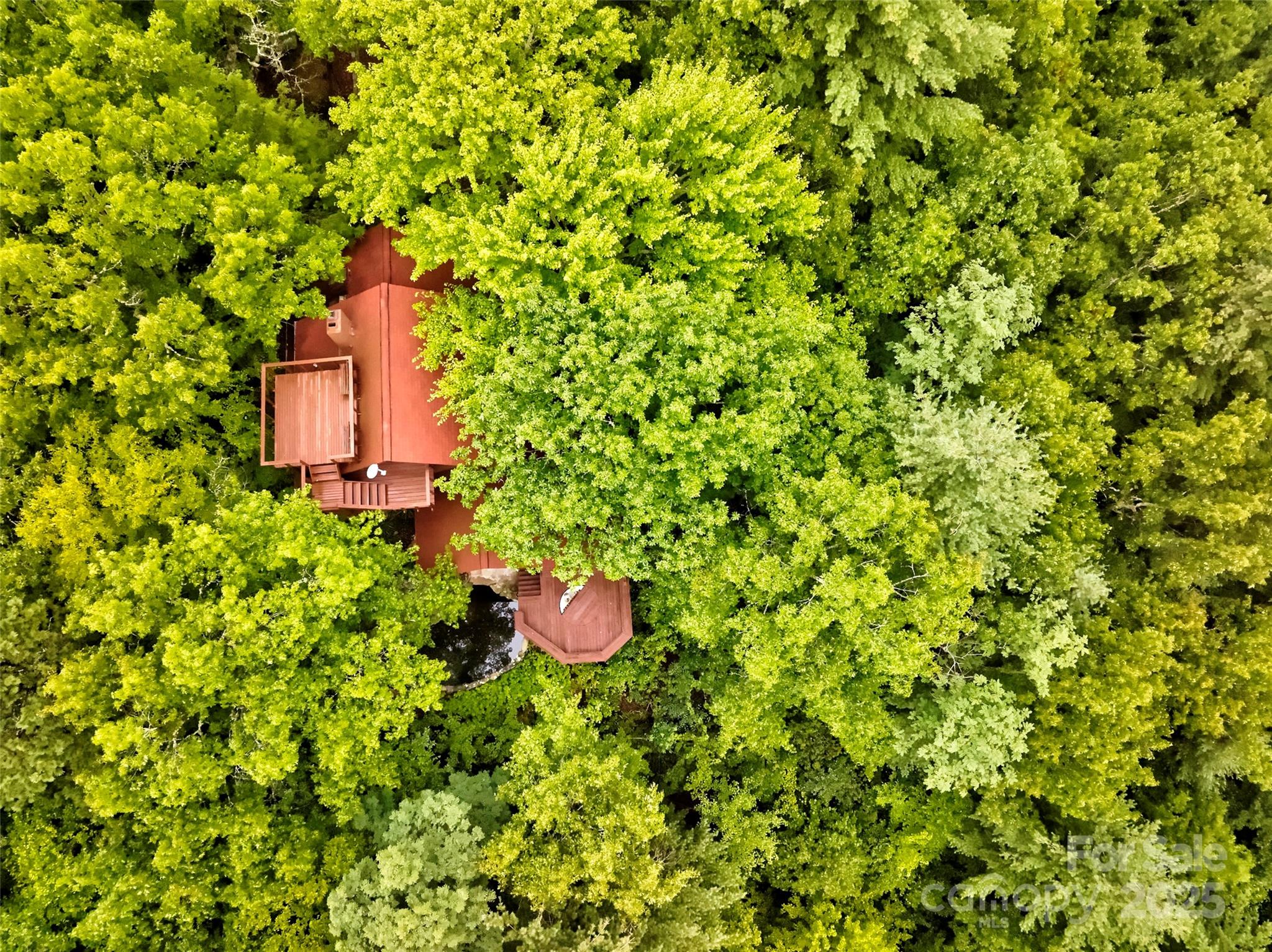 565 Silver Ridge Road Bryson City, NC 28713 - Photo 11 of 38