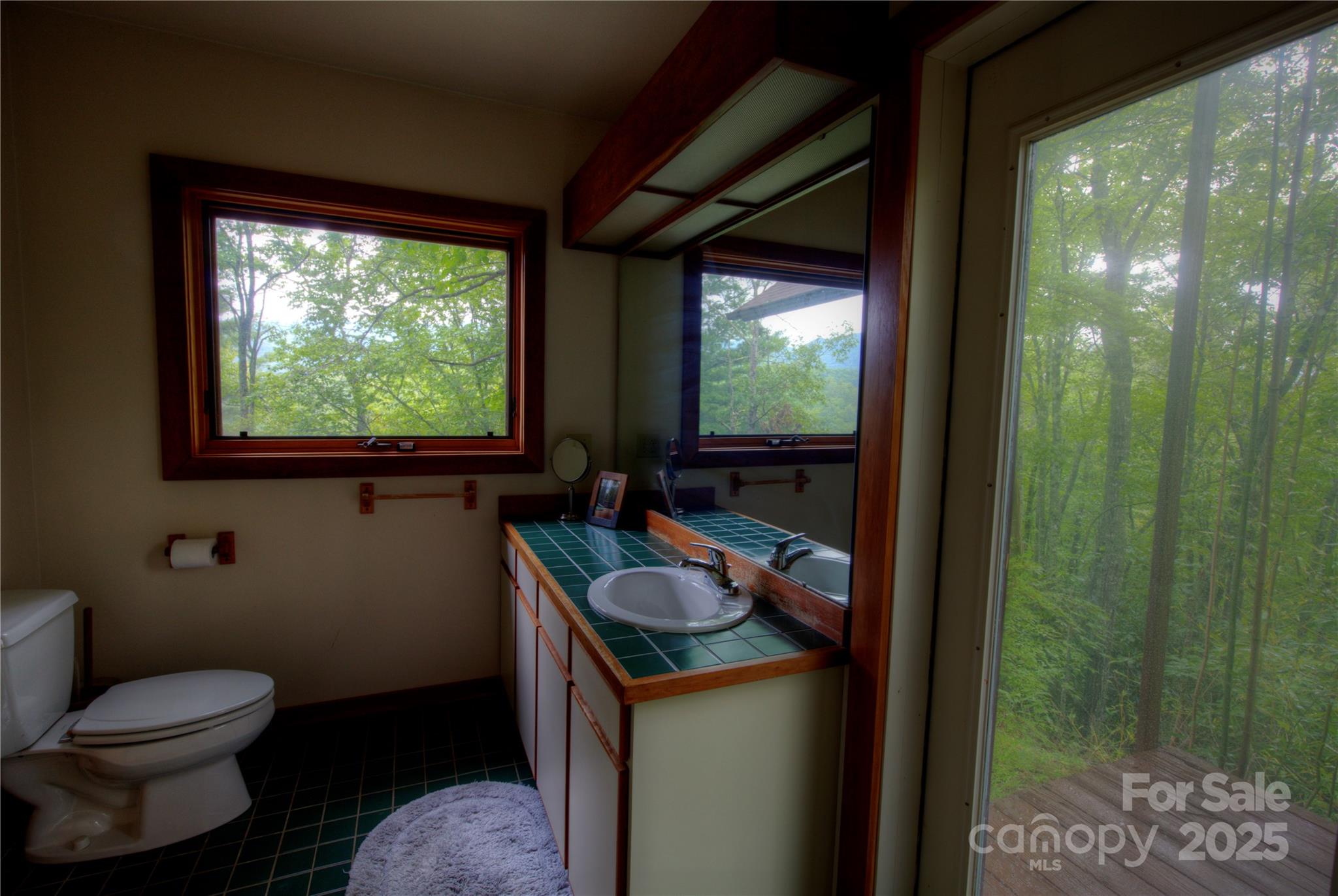 565 Silver Ridge Road Bryson City, NC 28713 - Photo 17 of 38 a bathroom with a granite countertop sink and a mirror