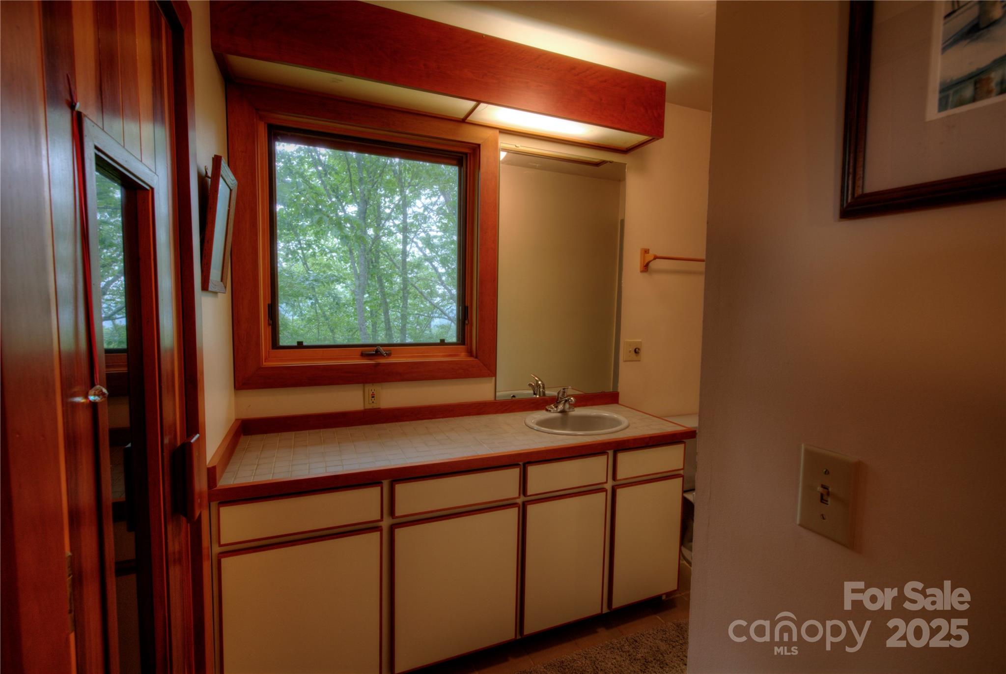 565 Silver Ridge Road Bryson City, NC 28713 - Photo 21 of 38 a bathroom with a sink and a mirror