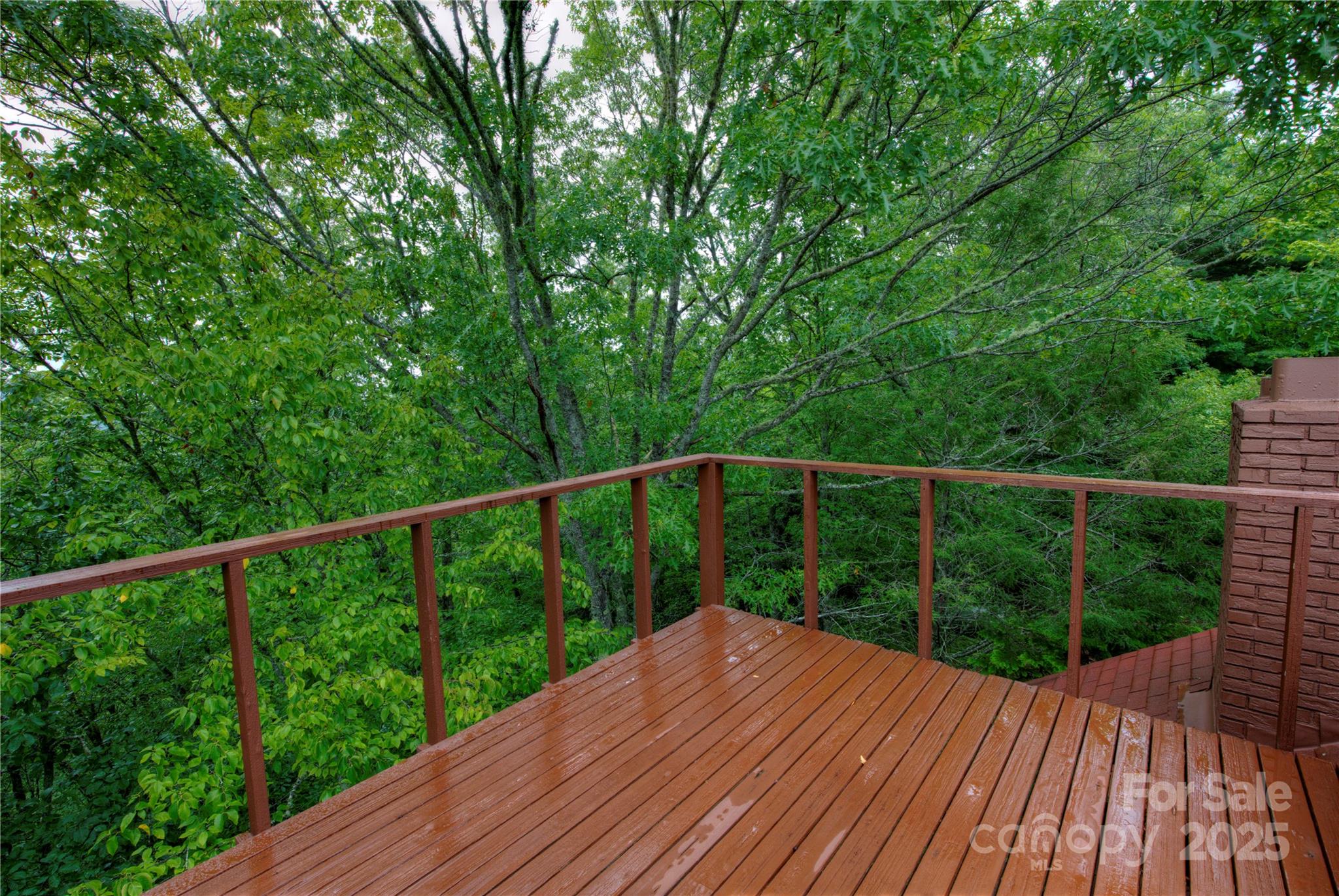 565 Silver Ridge Road Bryson City, NC 28713 - Photo 28 of 38 a balcony with trees in front of it