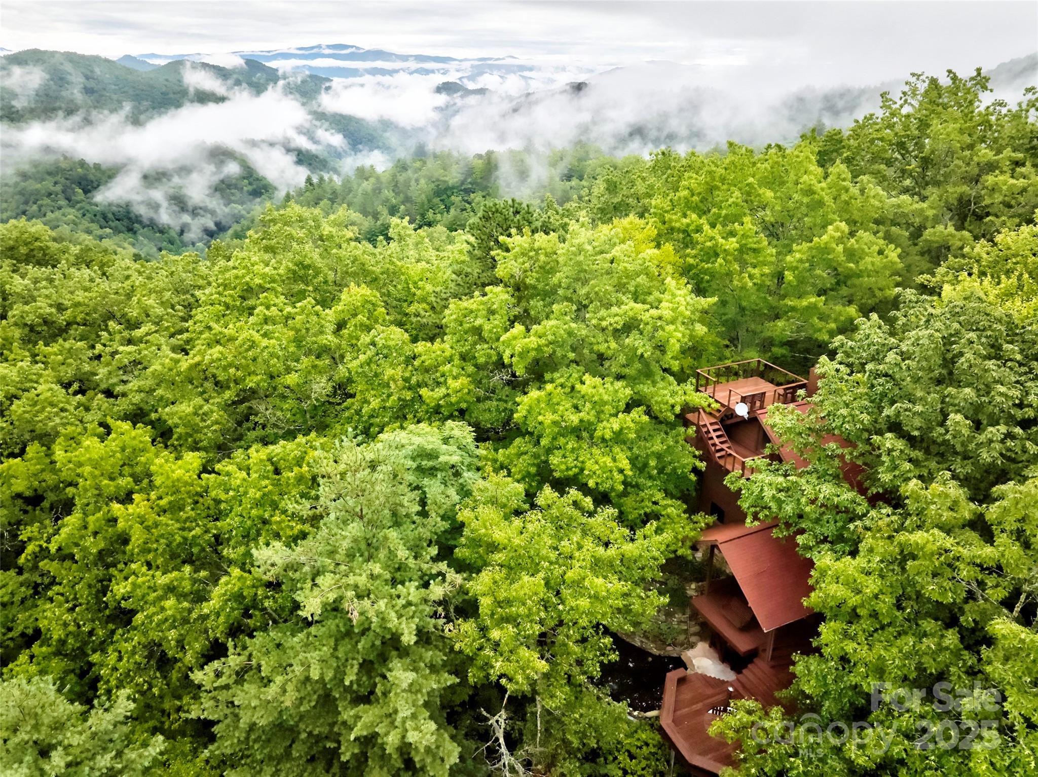 565 Silver Ridge Road Bryson City, NC 28713 - Photo 5 of 38 a backyard of a house with lots of green space and covered by tree
