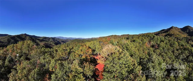 a view of a forest with trees