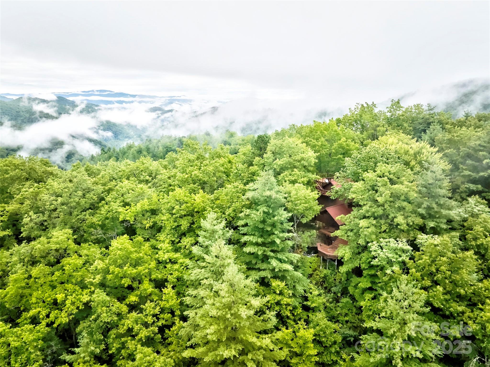 565 Silver Ridge Road Bryson City, NC 28713 - Photo 7 of 38