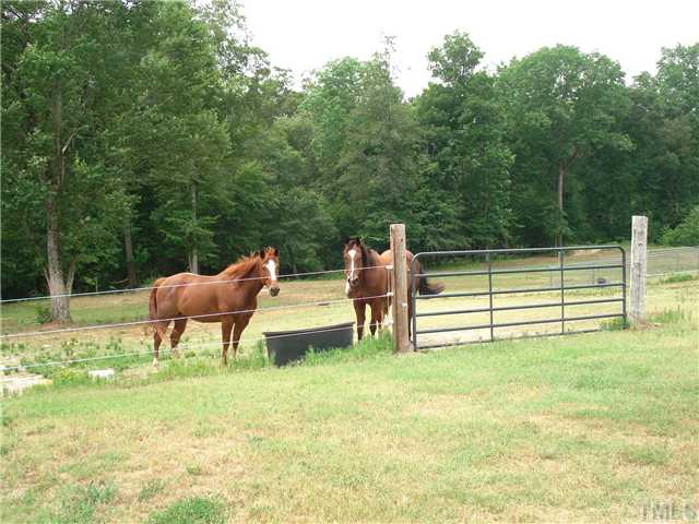 Fenced pastures surround the home on all sides for the horses to graze.There is a riding rink  in the front pasture for working the horses.