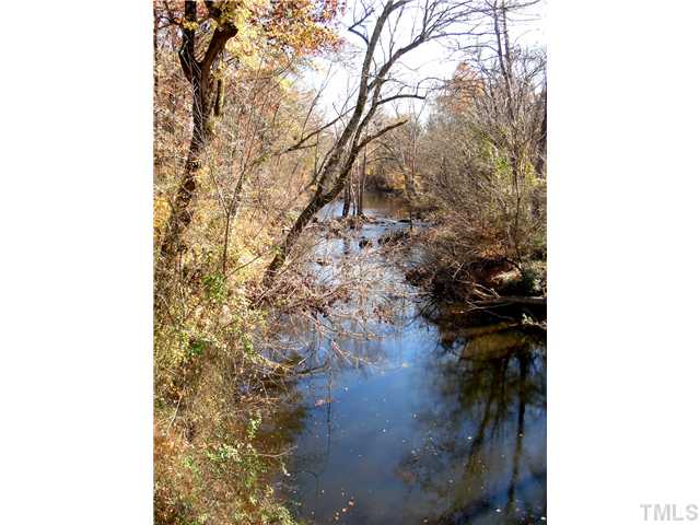 Swift Creek rins along the rear of the property giving year round views of the seasons....breath-taking!!