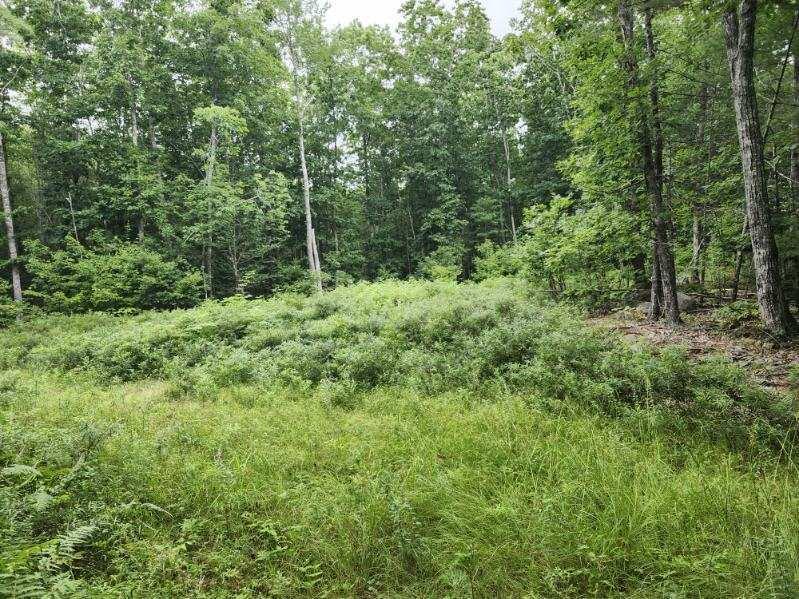 Lot 7-part West Neck Road Nobleboro, ME 04555 - Photo 3 of 6 image000002(10)