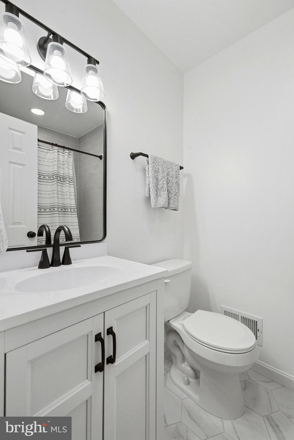7219 Carrico Mill Road Hughesville, MD 20637 - Photo 29 of 41 a bathroom with a sink a toilet and mirror