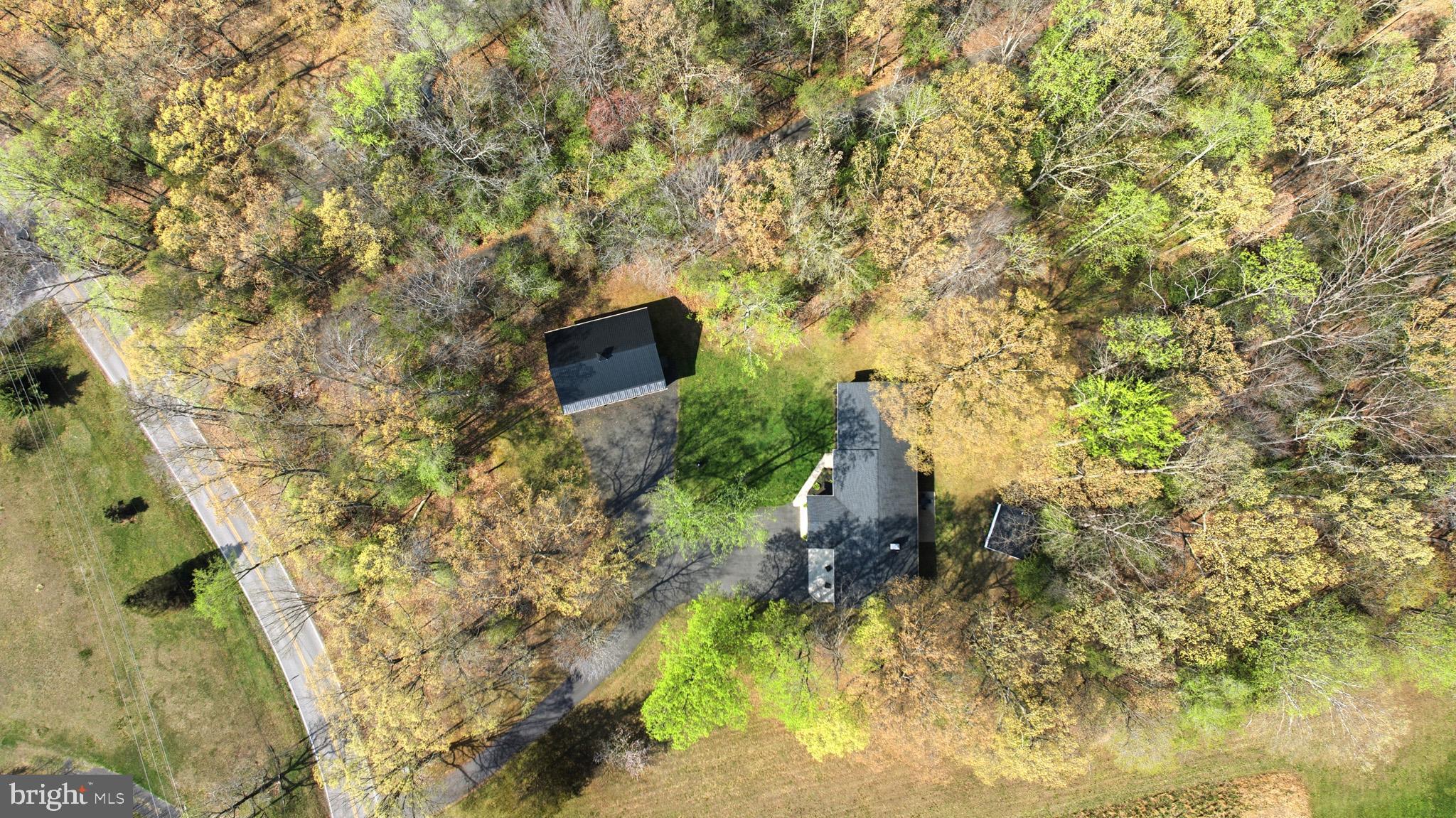7219 Carrico Mill Road Hughesville, MD 20637 - Photo 40 of 41 a backyard of a building with large trees