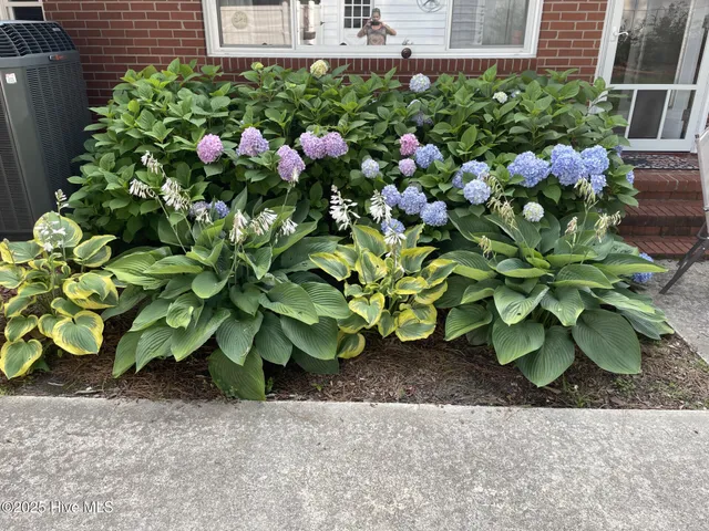 $345,000 | 302 Oak Drive, Washington, NC 27889