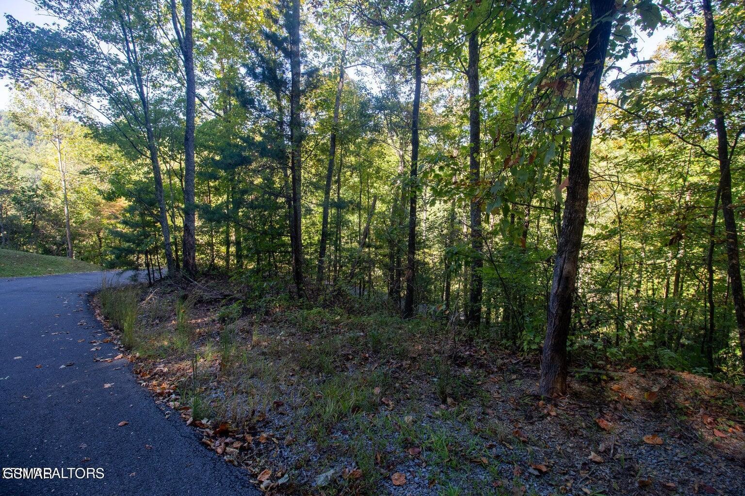 9 Wildcat Ridge Road Sevierville, TN 37862 - Photo 9 of 14 Gallery Image 9